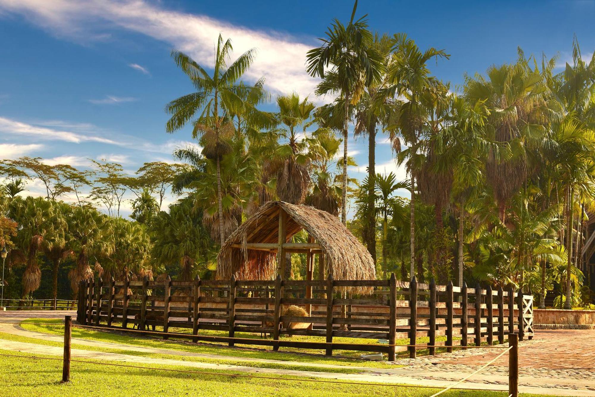 Hotel Reserva De Piedemonte La Palmera Exterior foto
